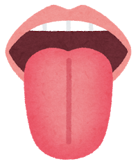 健康な舌　舌診